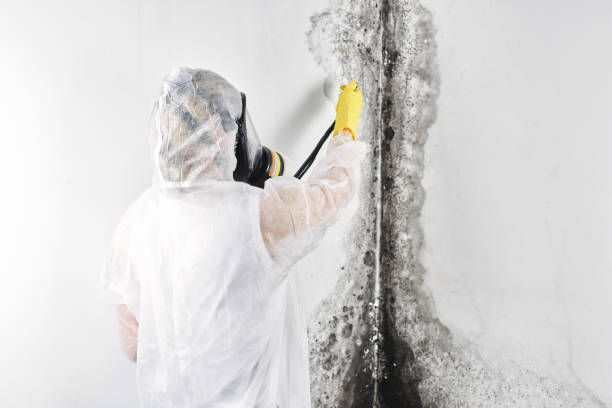 Best Emergency water damage restoration  in Houston, TX