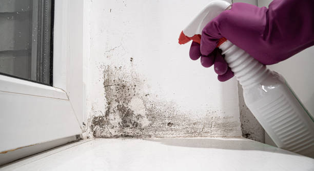 Best Water damage restoration cost  in Houston, TX